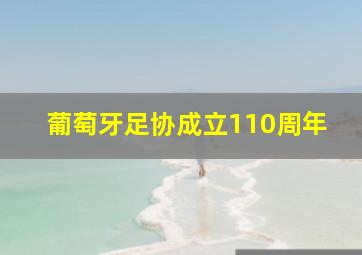 葡萄牙足协成立110周年