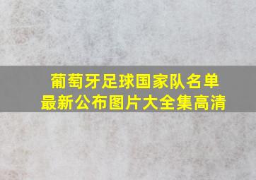 葡萄牙足球国家队名单最新公布图片大全集高清