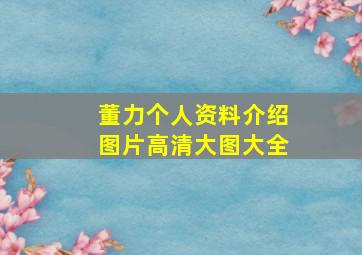 董力个人资料介绍图片高清大图大全