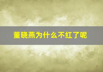 董晓燕为什么不红了呢