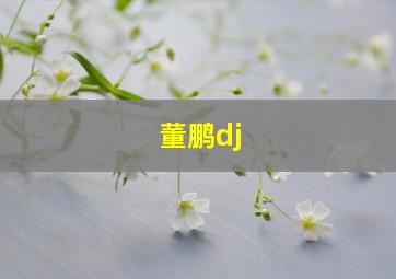 董鹏dj