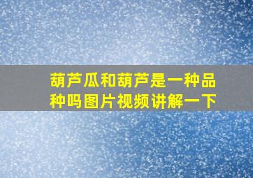 葫芦瓜和葫芦是一种品种吗图片视频讲解一下