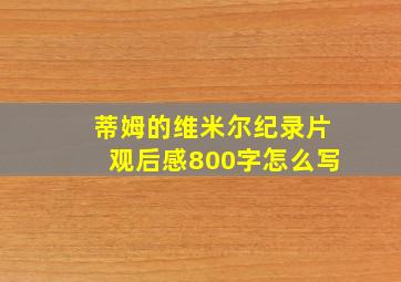 蒂姆的维米尔纪录片观后感800字怎么写