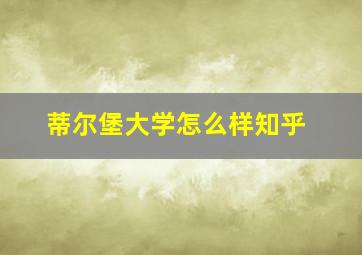 蒂尔堡大学怎么样知乎