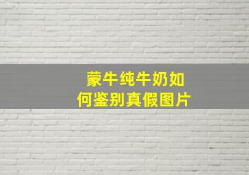 蒙牛纯牛奶如何鉴别真假图片