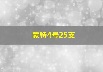 蒙特4号25支