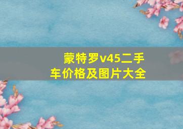 蒙特罗v45二手车价格及图片大全