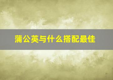 蒲公英与什么搭配最佳