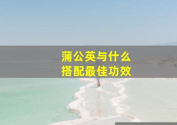 蒲公英与什么搭配最佳功效