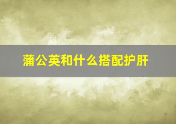 蒲公英和什么搭配护肝