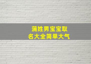 蒲姓男宝宝取名大全简单大气