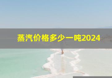 蒸汽价格多少一吨2024