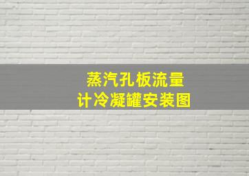 蒸汽孔板流量计冷凝罐安装图