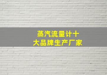 蒸汽流量计十大品牌生产厂家