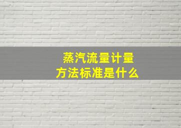 蒸汽流量计量方法标准是什么