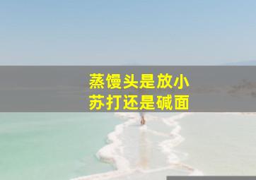 蒸馒头是放小苏打还是碱面