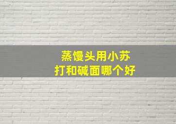 蒸馒头用小苏打和碱面哪个好