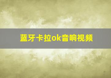 蓝牙卡拉ok音响视频