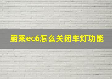 蔚来ec6怎么关闭车灯功能