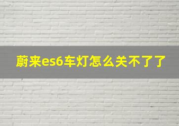 蔚来es6车灯怎么关不了了