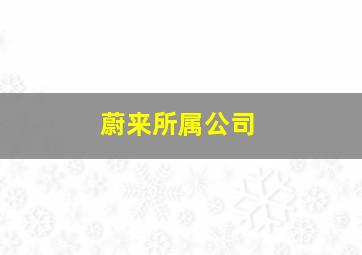 蔚来所属公司