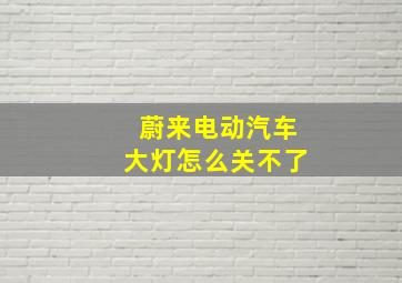 蔚来电动汽车大灯怎么关不了