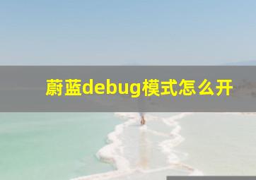 蔚蓝debug模式怎么开