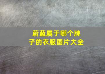 蔚蓝属于哪个牌子的衣服图片大全