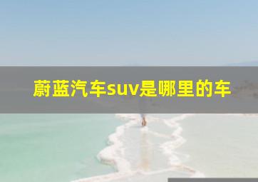 蔚蓝汽车suv是哪里的车