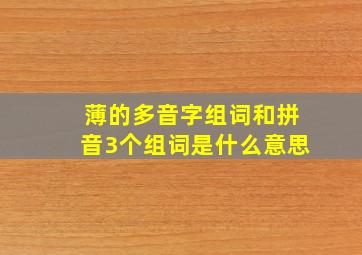 薄的多音字组词和拼音3个组词是什么意思