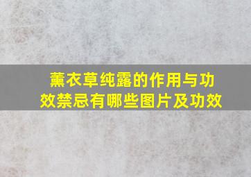 薰衣草纯露的作用与功效禁忌有哪些图片及功效