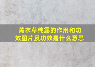 薰衣草纯露的作用和功效图片及功效是什么意思