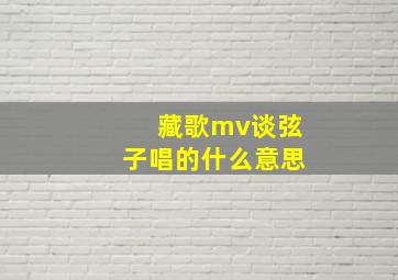 藏歌mv谈弦子唱的什么意思