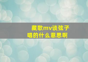 藏歌mv谈弦子唱的什么意思啊