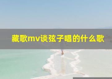 藏歌mv谈弦子唱的什么歌