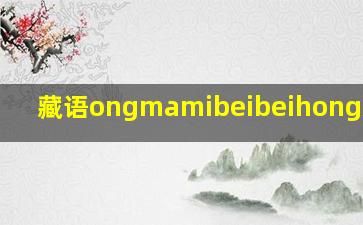 藏语ongmamibeibeihong怎么写