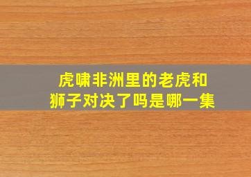 虎啸非洲里的老虎和狮子对决了吗是哪一集