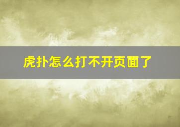 虎扑怎么打不开页面了