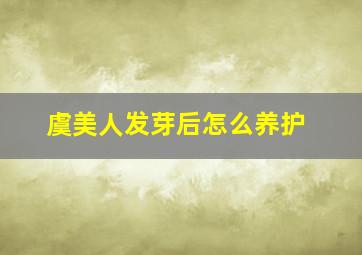 虞美人发芽后怎么养护