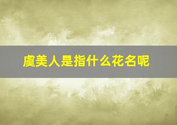 虞美人是指什么花名呢