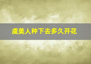 虞美人种下去多久开花