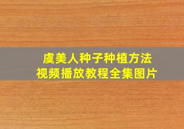 虞美人种子种植方法视频播放教程全集图片