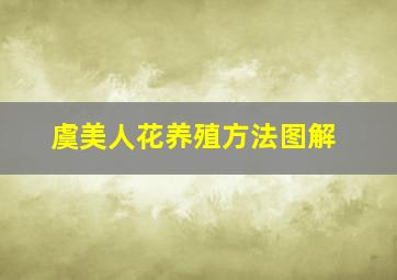 虞美人花养殖方法图解