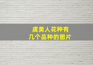 虞美人花种有几个品种的图片