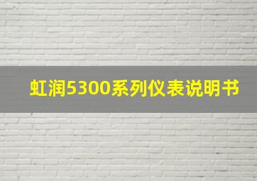 虹润5300系列仪表说明书