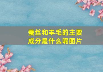 蚕丝和羊毛的主要成分是什么呢图片