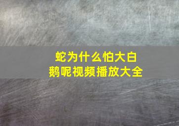 蛇为什么怕大白鹅呢视频播放大全