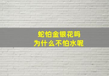 蛇怕金银花吗为什么不怕水呢