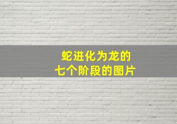 蛇进化为龙的七个阶段的图片