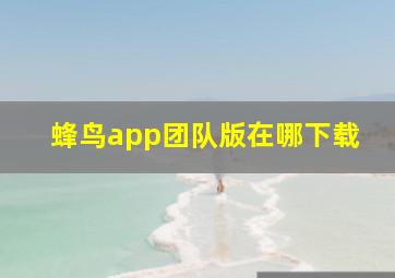 蜂鸟app团队版在哪下载